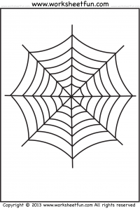 spider web