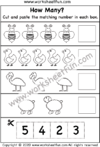Cut and Paste Worksheet